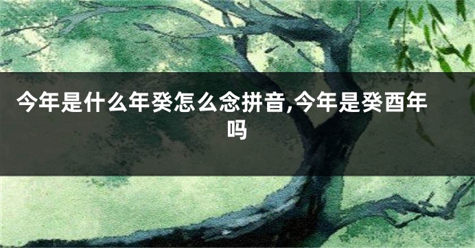 今年是什么年癸怎么念拼音,今年是癸酉年吗