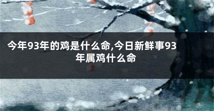 今年93年的鸡是什么命,今日新鲜事93年属鸡什么命