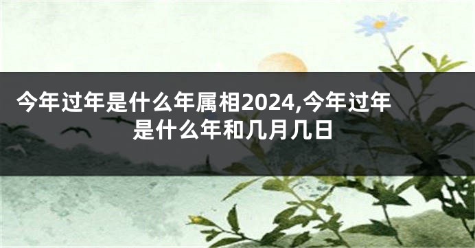 今年过年是什么年属相2024,今年过年是什么年和几月几日