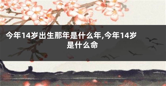 今年14岁出生那年是什么年,今年14岁是什么命