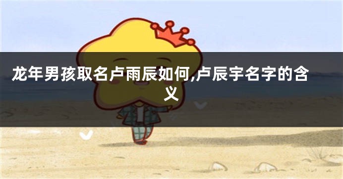 龙年男孩取名卢雨辰如何,卢辰宇名字的含义