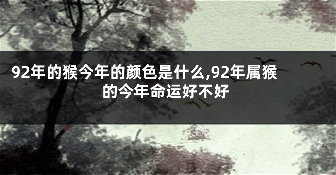 92年的猴今年的颜色是什么,92年属猴的今年命运好不好