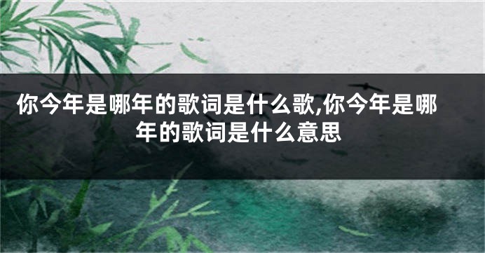 你今年是哪年的歌词是什么歌,你今年是哪年的歌词是什么意思