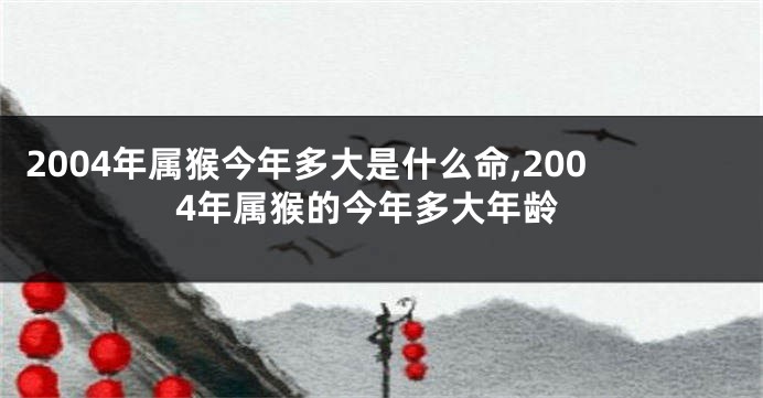 2004年属猴今年多大是什么命,2004年属猴的今年多大年龄