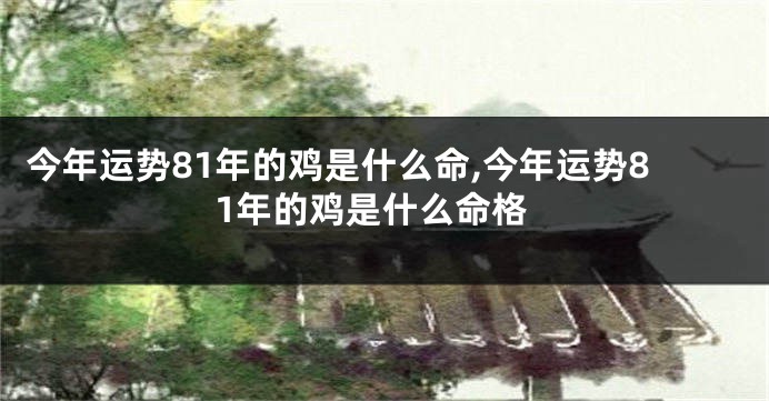 今年运势81年的鸡是什么命,今年运势81年的鸡是什么命格