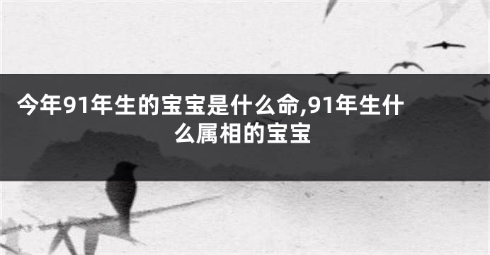 今年91年生的宝宝是什么命,91年生什么属相的宝宝