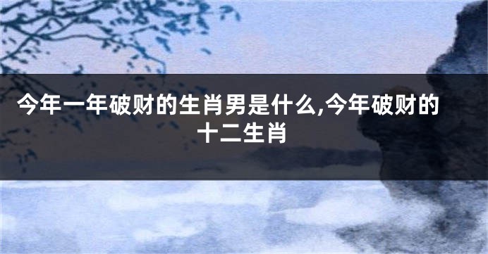 今年一年破财的生肖男是什么,今年破财的十二生肖