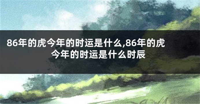 86年的虎今年的时运是什么,86年的虎今年的时运是什么时辰