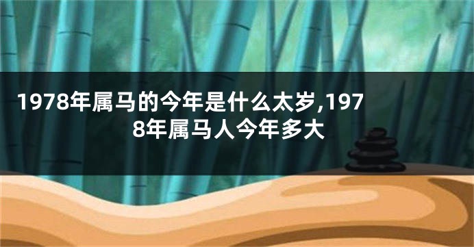 1978年属马的今年是什么太岁,1978年属马人今年多大