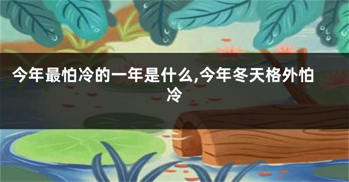 今年最怕冷的一年是什么,今年冬天格外怕冷