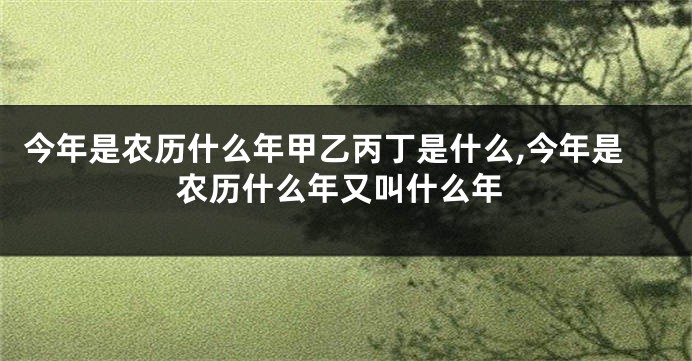 今年是农历什么年甲乙丙丁是什么,今年是农历什么年又叫什么年