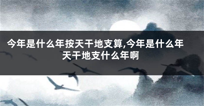 今年是什么年按天干地支算,今年是什么年天干地支什么年啊