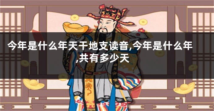 今年是什么年天干地支读音,今年是什么年,共有多少天