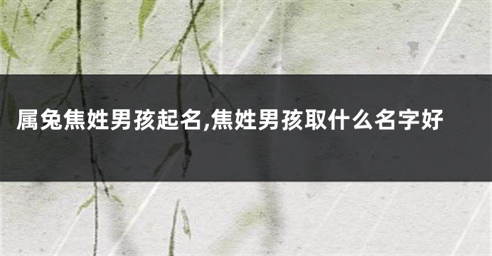 属兔焦姓男孩起名,焦姓男孩取什么名字好