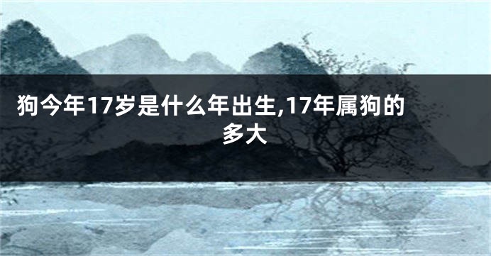 狗今年17岁是什么年出生,17年属狗的多大