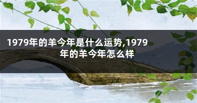 1979年的羊今年是什么运势,1979年的羊今年怎么样