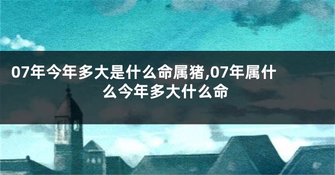 07年今年多大是什么命属猪,07年属什么今年多大什么命