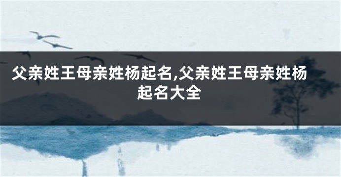 父亲姓王母亲姓杨起名,父亲姓王母亲姓杨起名大全