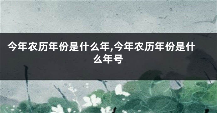 今年农历年份是什么年,今年农历年份是什么年号