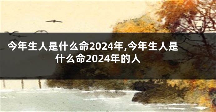 今年生人是什么命2024年,今年生人是什么命2024年的人