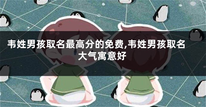 韦姓男孩取名最高分的免费,韦姓男孩取名大气寓意好