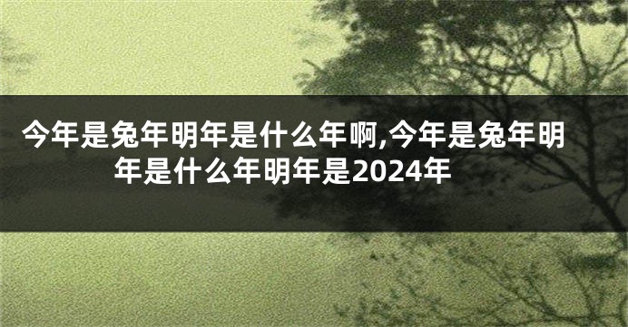 今年是兔年明年是什么年啊,今年是兔年明年是什么年明年是2024年