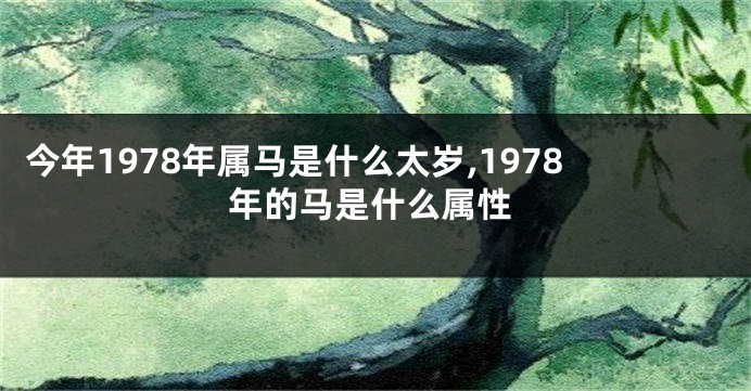 今年1978年属马是什么太岁,1978年的马是什么属性