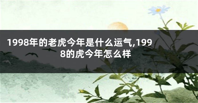 1998年的老虎今年是什么运气,1998的虎今年怎么样