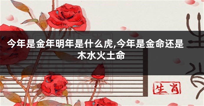 今年是金年明年是什么虎,今年是金命还是木水火土命