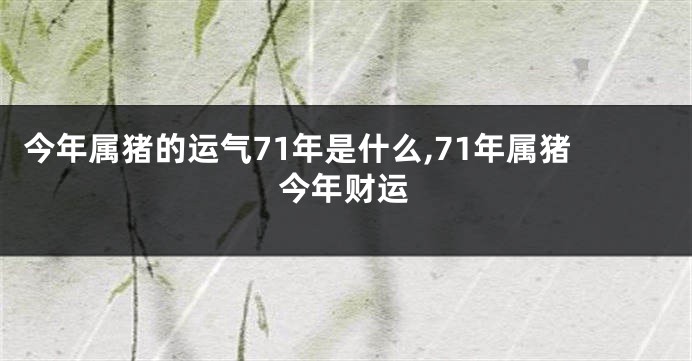 今年属猪的运气71年是什么,71年属猪今年财运