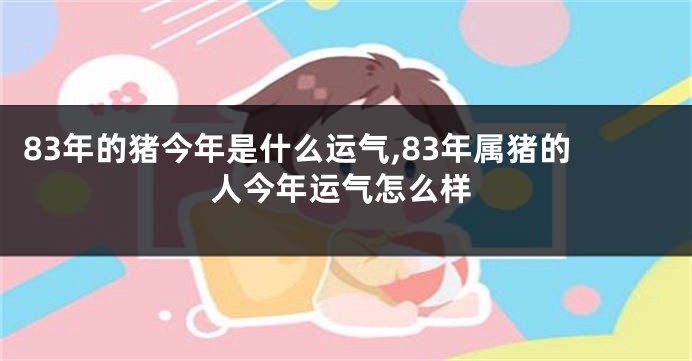 83年的猪今年是什么运气,83年属猪的人今年运气怎么样