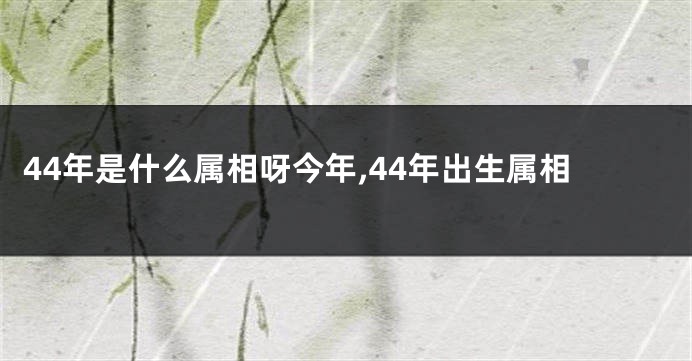 44年是什么属相呀今年,44年出生属相