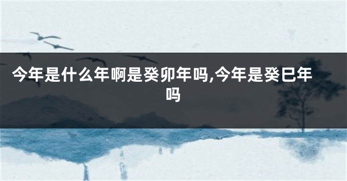 今年是什么年啊是癸卯年吗,今年是癸巳年吗