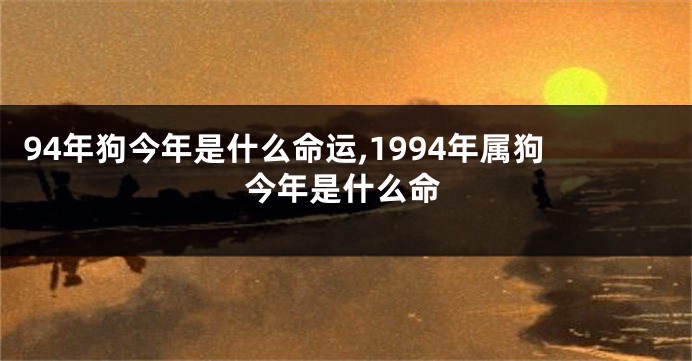 94年狗今年是什么命运,1994年属狗今年是什么命