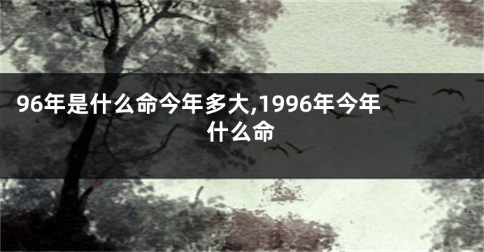 96年是什么命今年多大,1996年今年什么命