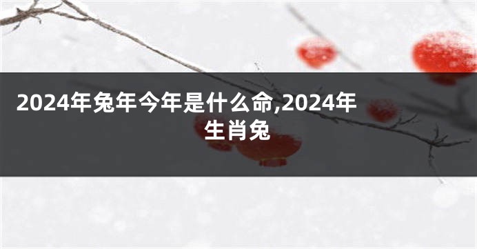 2024年兔年今年是什么命,2024年生肖兔