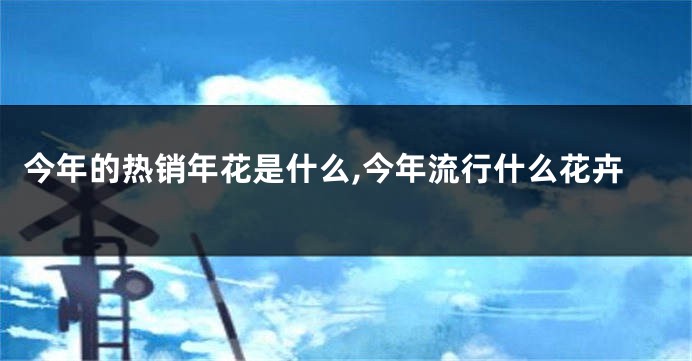 今年的热销年花是什么,今年流行什么花卉