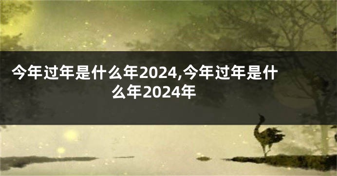 今年过年是什么年2024,今年过年是什么年2024年