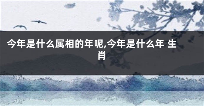 今年是什么属相的年呢,今年是什么年 生肖