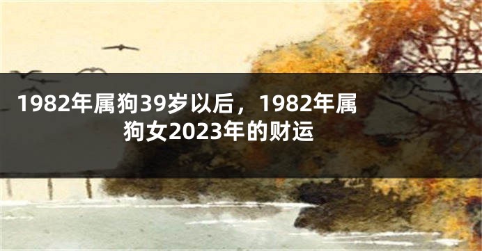 1982年属狗39岁以后，1982年属狗女2023年的财运