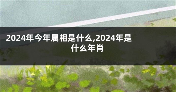 2024年今年属相是什么,2024年是什么年肖