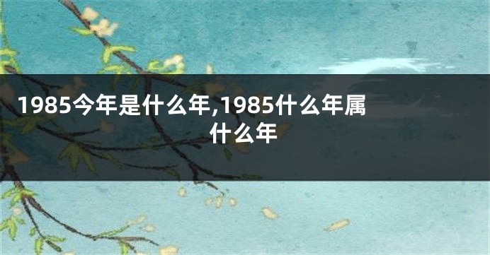 1985今年是什么年,1985什么年属什么年