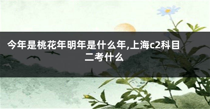 今年是桃花年明年是什么年,上海c2科目二考什么