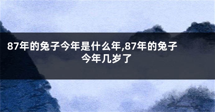 87年的兔子今年是什么年,87年的兔子今年几岁了