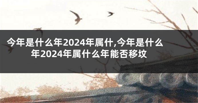 今年是什么年2024年属什,今年是什么年2024年属什么年能否移坟