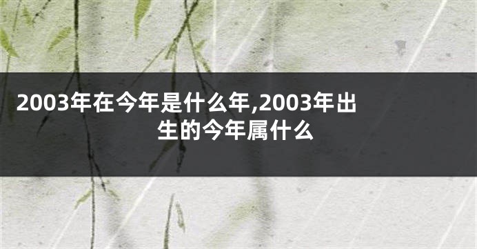 2003年在今年是什么年,2003年出生的今年属什么