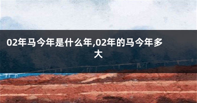 02年马今年是什么年,02年的马今年多大