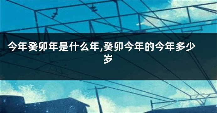 今年癸卯年是什么年,癸卯今年的今年多少岁