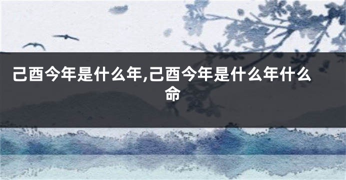 己酉今年是什么年,己酉今年是什么年什么命