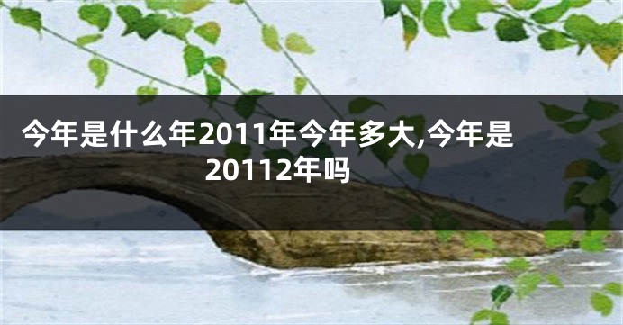 今年是什么年2011年今年多大,今年是20112年吗